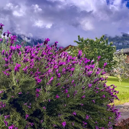 Σπίτι διακοπών Il Fienile - Heritage In Molino Maufet Watermill - View Terrace Colico